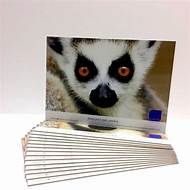 Libra Display Board FSC/PEFC - Recyclable 1500mic (1.5mm)